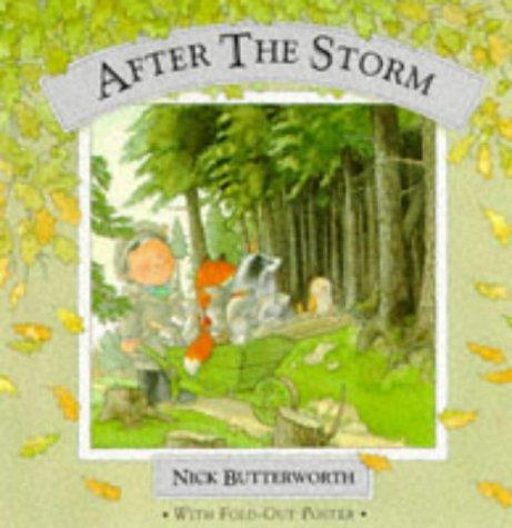 After the Storm