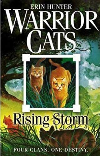 Rising Storm: Discover the Warrior Cats, the bestselling children’s fantasy series of animal tales: Book 4