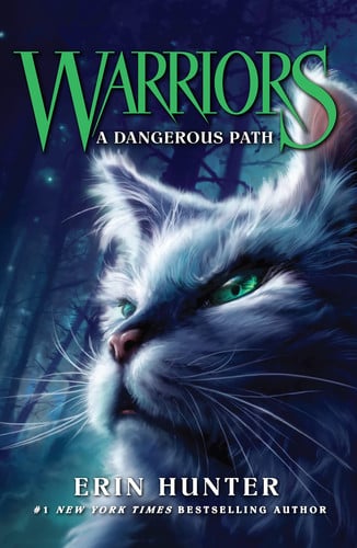 Dangerous Path: Discover the Warrior Cats, the bestselling children’s fantasy series of animal tales: Book 5 (Warriors)