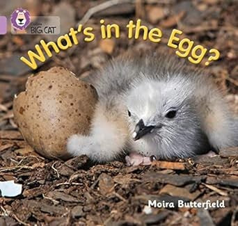 What’s in the Egg?: Band 00/Lilac (Collins Big Cat)