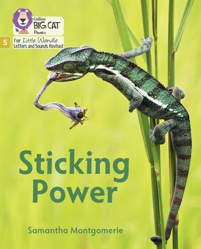 Sticking Power: Phase 5 Set 1 (Big Cat Phonics for Little Wandle Letters and Sounds Revised)