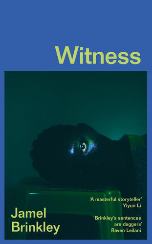 Witness: the stunning new short story collection of families and relationships – ‘Brinkley’s sentences are daggers’ Raven Leilani