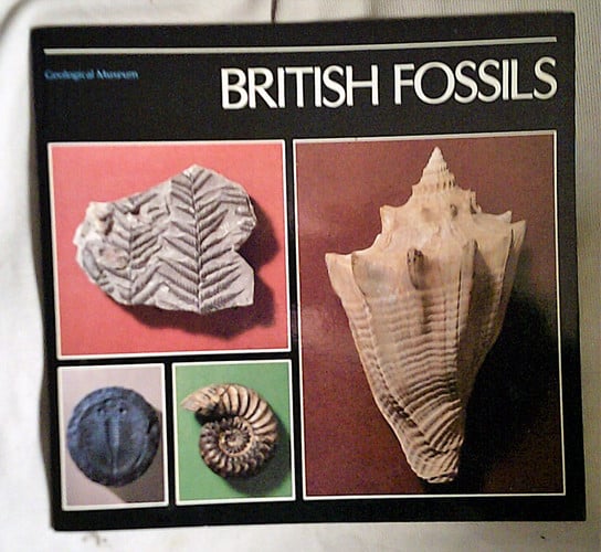 British Fossils