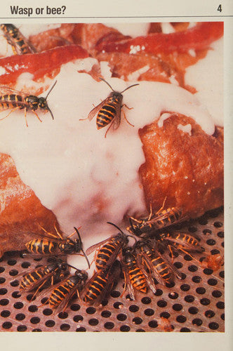 Wasps: 4 (Social insects)