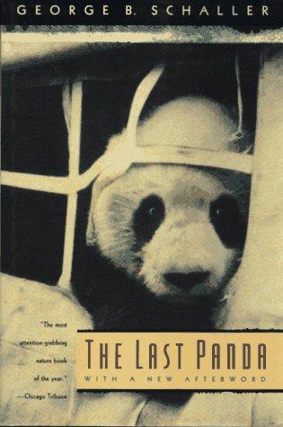 The Last Panda (Paper)