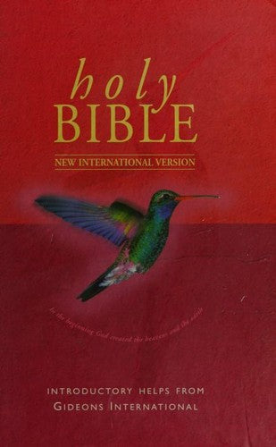 New International Version (Bible)