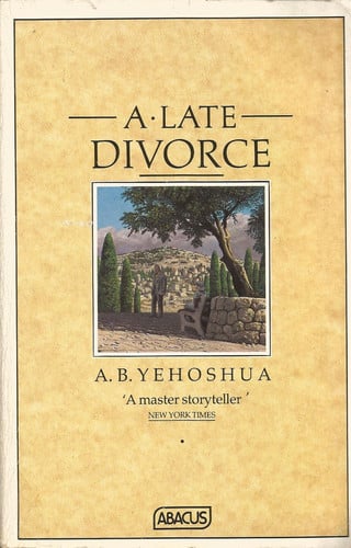 Late Divorce (Abacus Books)