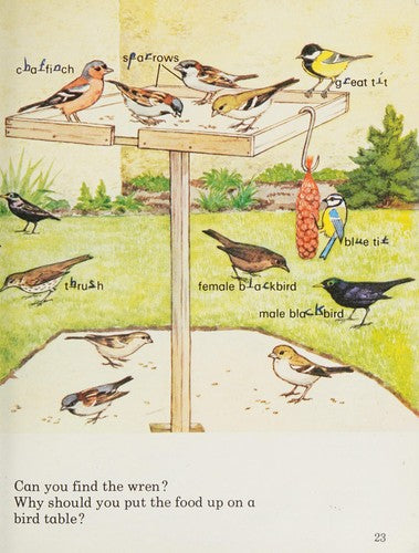 Birds (Macdonald quiz books)