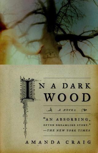 In a Dark Wood: A Novel