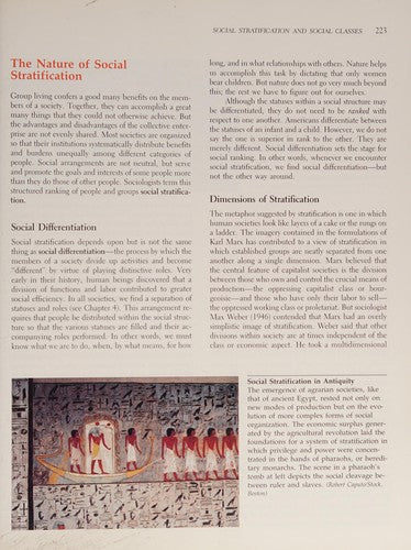 The Social Experience: An Introduction to Sociology