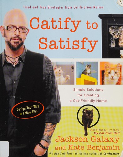 Catify to Satisfy: Simple Solutions for Creating a Cat-Friendly Home