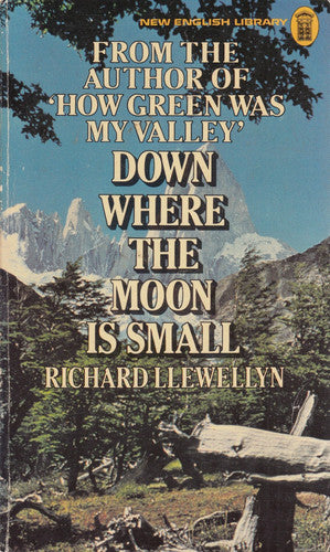 Down Where the Moon is Small