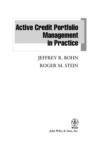 Active Credit Portfolio Management in Practice: 384 (Wiley Finance)