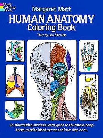 Human Anatomy Colouring Book