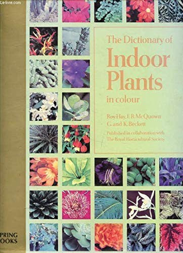 Dict Indoor Plants In Co