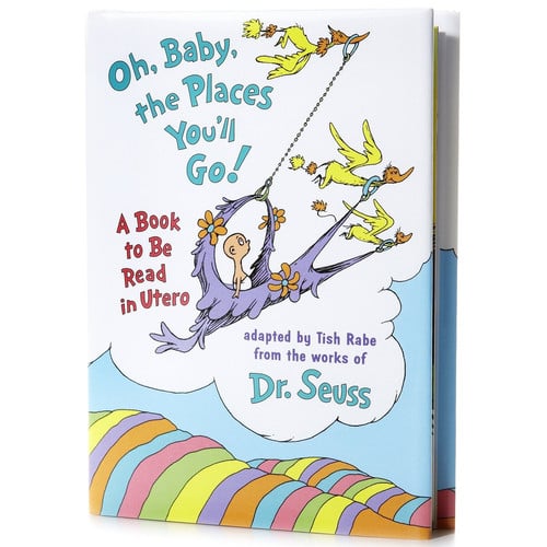 Oh Baby, the Places You'LL Go!: A Book to be Read in Utero (Life Favors)