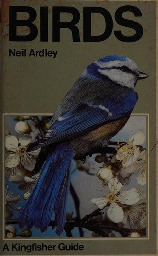 Birds (Kingfisher Guides)