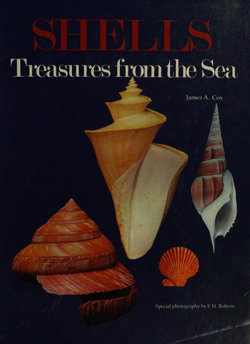 Shells: Treasures from the Sea