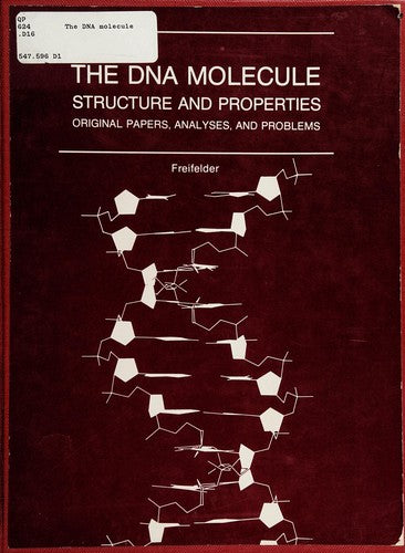 Deoxyribonucleic Acid Molecule