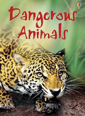 Dangerous Animals: 1 (Beginners)