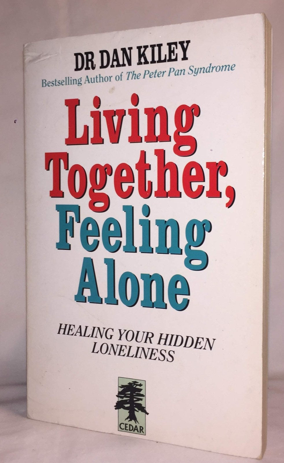 Living Together, Feeling Alone: Healing Your Hidden Loneliness