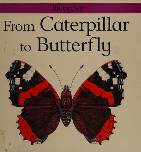 From Caterpillar to Butterfly (Lifecycles)