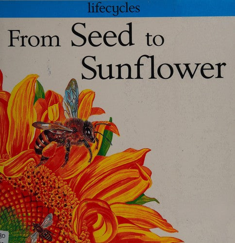From Seed To Sunflower (Lifecycles)