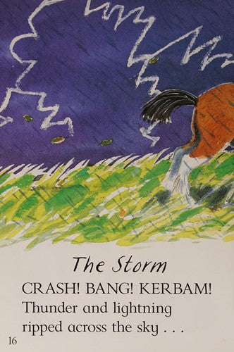 The Story of a Storm (Wonderwise)