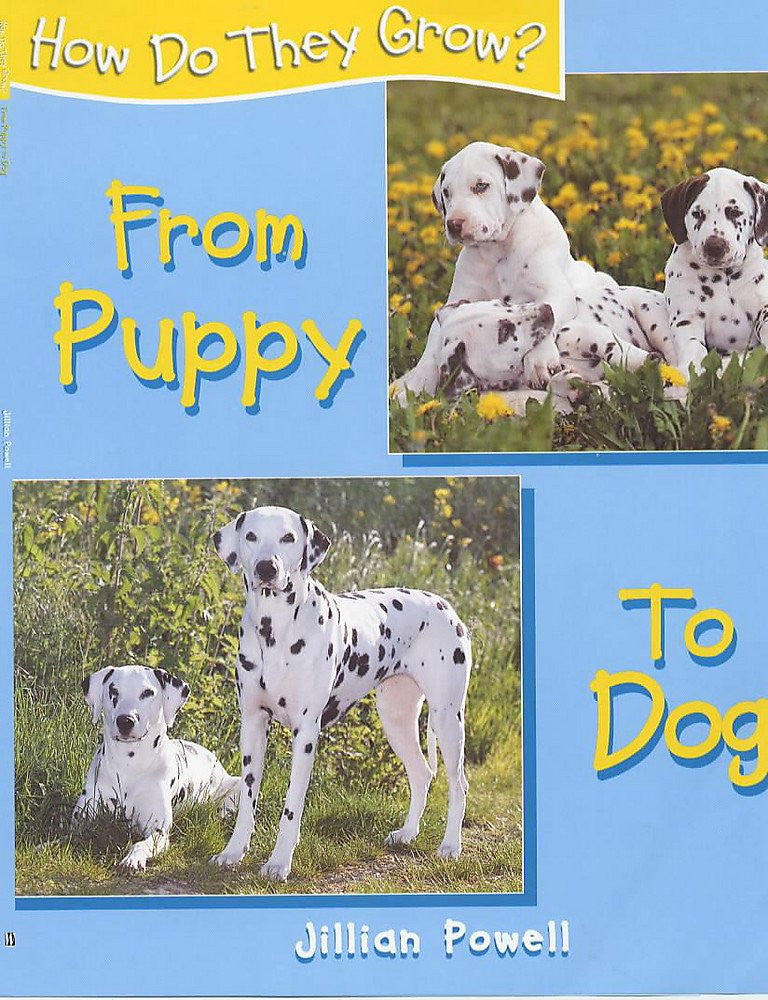 How Do They Grow Puppy To Dog