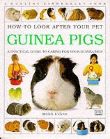 How To Look After Your Pet: Guinea Pigs