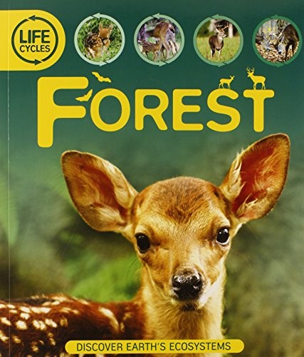Life Cycles: Forest