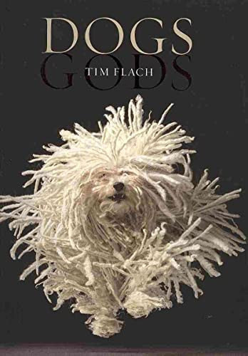 Dogs / Gods: Gods