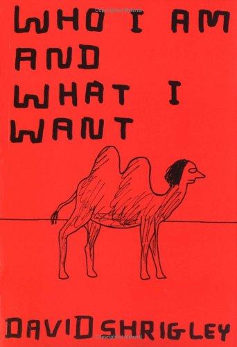 Who I am and What I Want