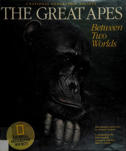 The Great Apes: Between Two Worlds