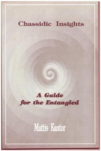 Chassidic Insights : a Guide for the Entangled / Mattis Kantor