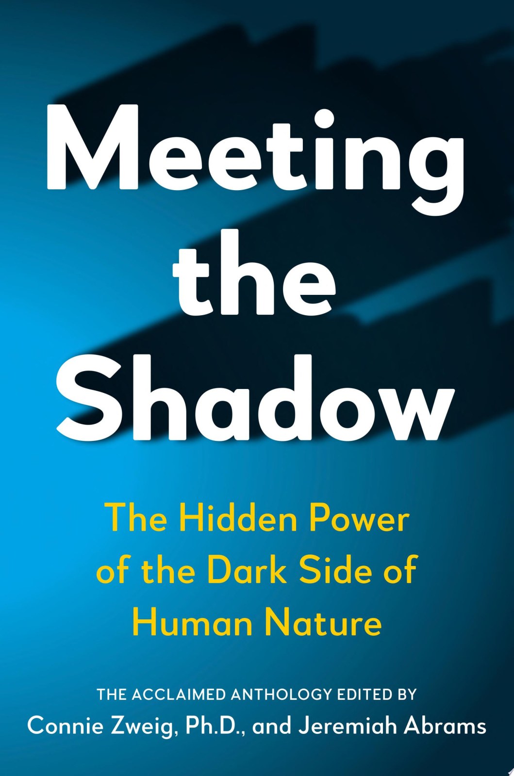 Meeting the Shadow: Hidden Power of the Dark Side of Human Nature (New Consciousness Reader): The Hidden Power of the Dark Side of Human Nature
