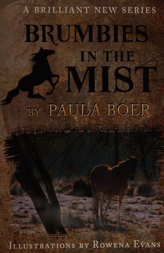 Brumbies in the Mist