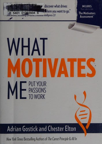What Motivates Me: Put Your Passions to Work
