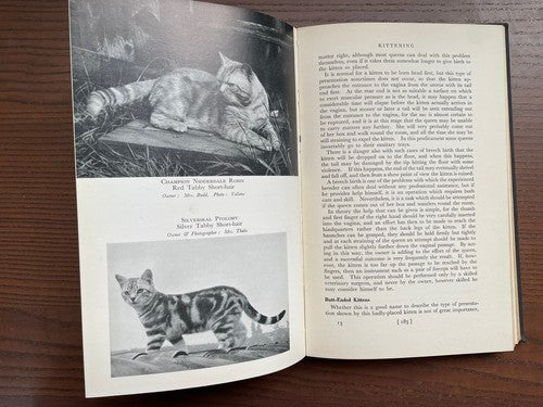 Pedigree Cats, Their Varieties, Breeding and Exhibition, P. M. Soderberg, 1958