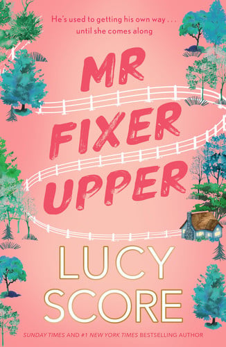 Mr Fixer Upper: the new romance from the 2023 bestselling Tiktok sensation! (Fixer series, 1)