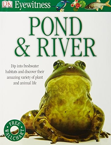Pond & River (Eyewitness)