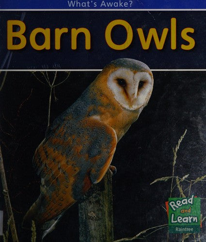 Barn Owls (Read and Learn: What's Awake?)