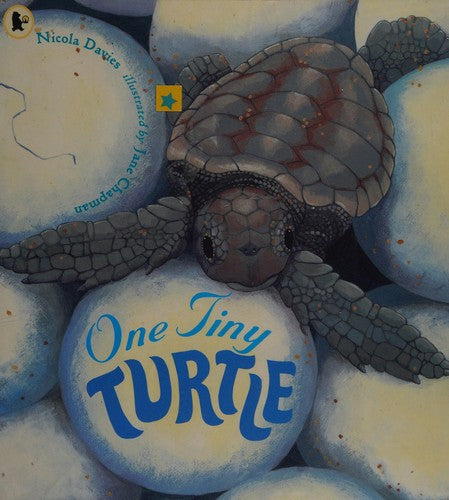 One Tiny Turtle (Nature Storybooks)