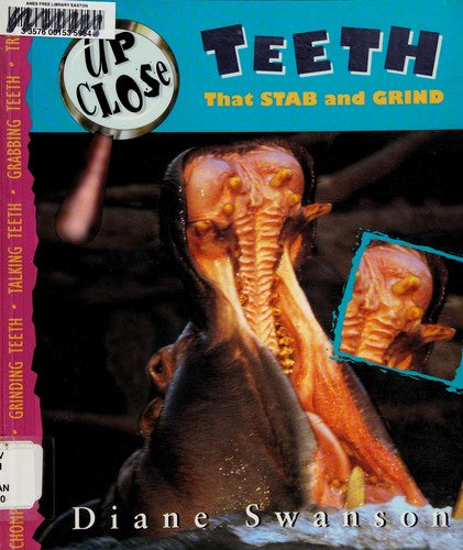 Teeth That Stab and Grind (Up Close)
