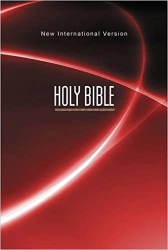 Holy Bible: New International Version, Red