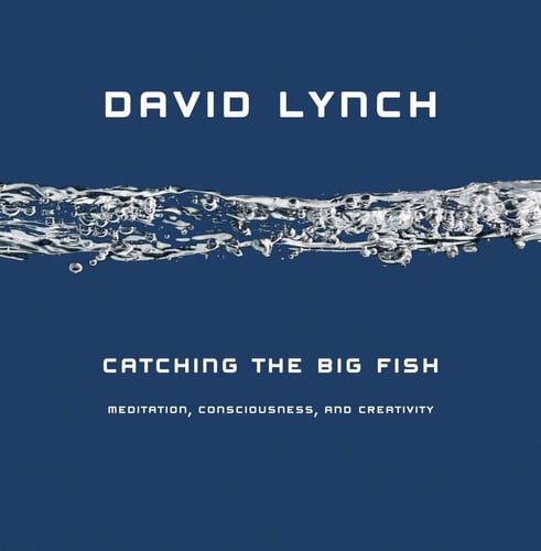 Catching the Big Fish: Meditation, Consciousness and Creativity