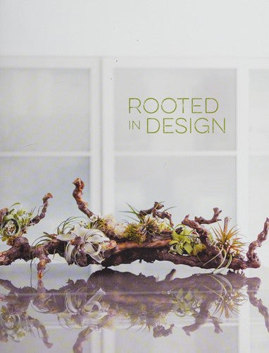 Rooted in Design: Sprout Home's Guide to Creative Indoor Planting
