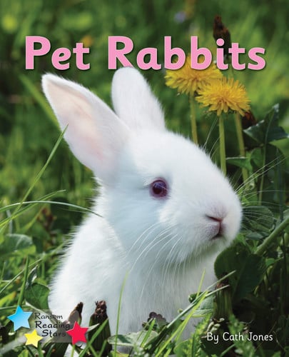 Pet Rabbits: Phonics Phase 3 (Reading Stars Phonics)