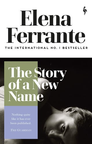 The Story of a New Name: youth (Neapolitan Quartet, 2)