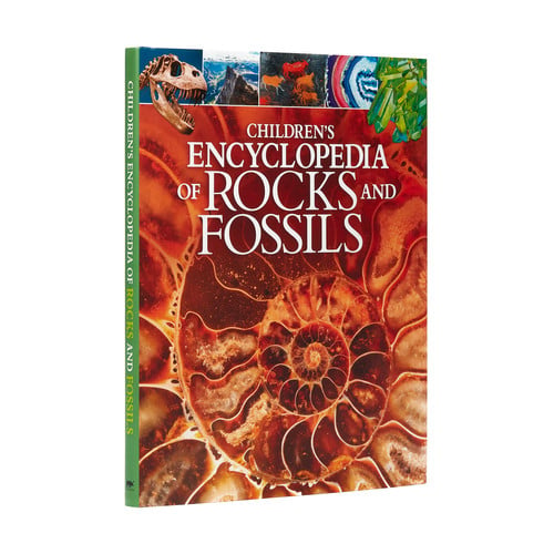 Children's Encyclopedia of Rocks and Fossils: 7 (Arcturus Children's Reference Library)
